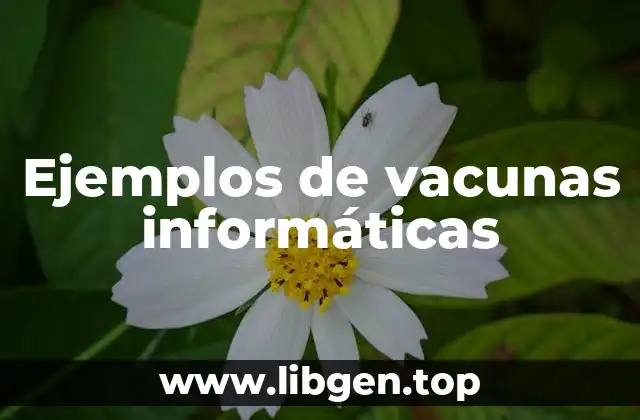 Ejemplos de vacunas informáticas