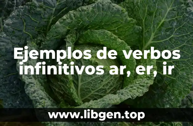 Ejemplos de verbos infinitivos ar, er, ir