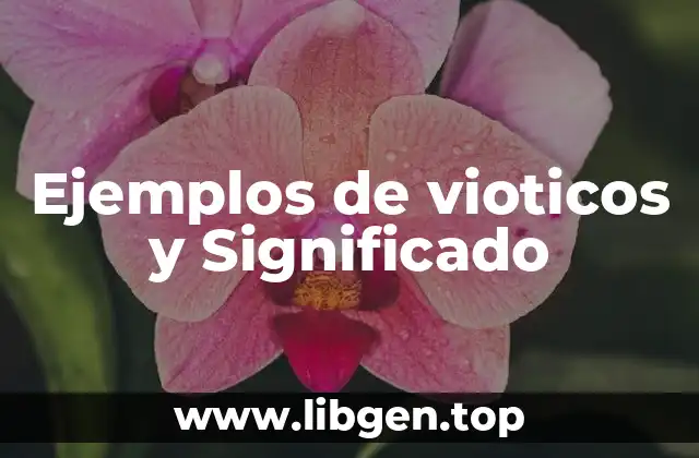 Ejemplos de vioticos y Significado