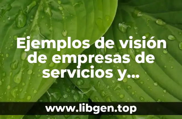 Ejemplos de visión de empresas de servicios y Significado