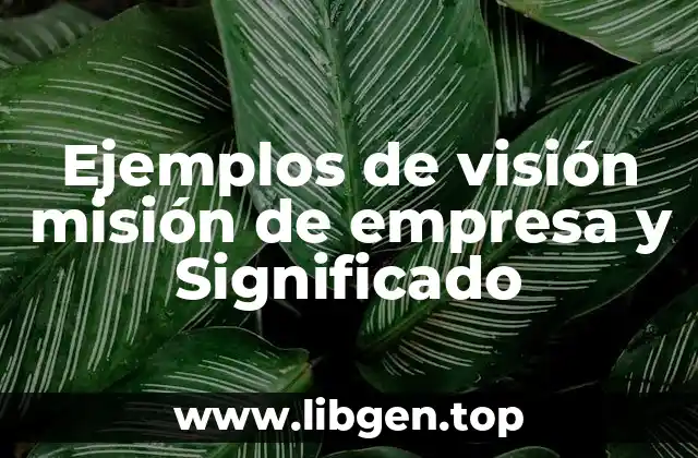 Ejemplos de visión misión de empresa y Significado