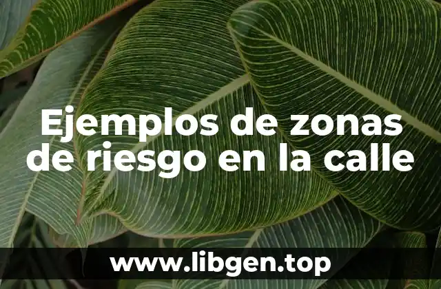 Ejemplos de zonas de riesgo en la calle