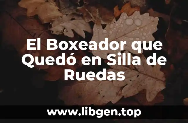 El Boxeador que Quedó en Silla de Ruedas