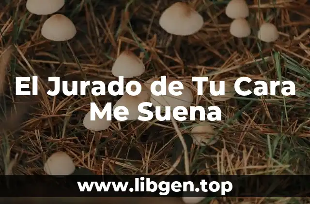 El Jurado de Tu Cara Me Suena