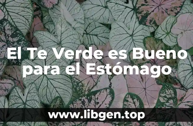 El Te Verde es Bueno para el Estómago