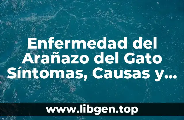 Enfermedad del Arañazo del Gato Síntomas, Causas y Tratamiento