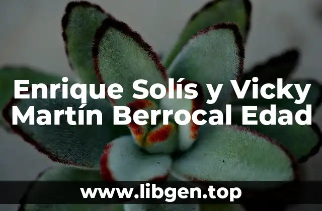 Enrique Solís y Vicky Martín Berrocal Edad