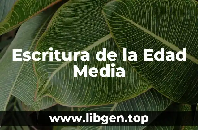 Escritura de la Edad Media