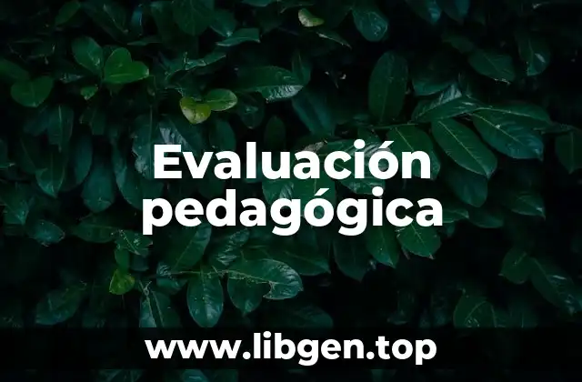 Ejemplos de evaluación pedagógica