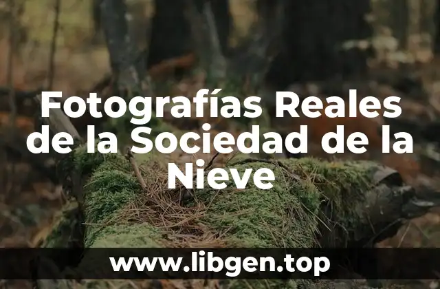 Fotografías Reales de la Sociedad de la Nieve