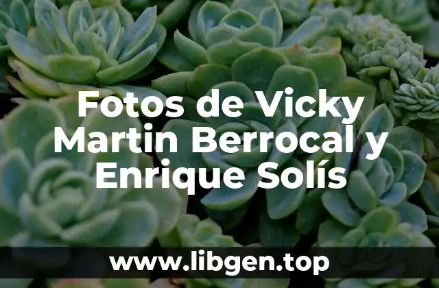 ¿Cómo se Conocieron Vicky Martin Berrocal y Enrique Solís?