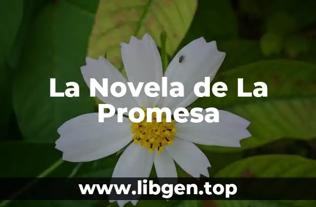 La Novela de La Promesa