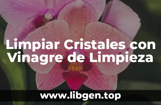 Limpiar Cristales con Vinagre de Limpieza