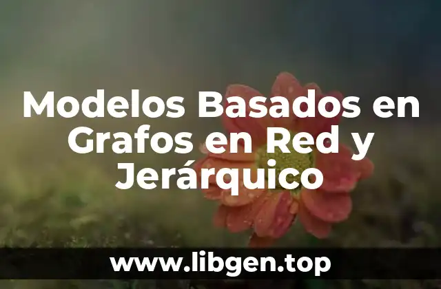 Ejemplos de Modelos Basados en Grafos en Red y Jerárquico