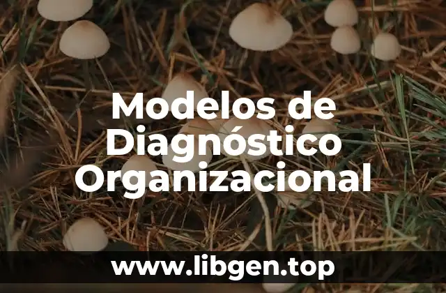 Modelos de Diagnóstico Organizacional
