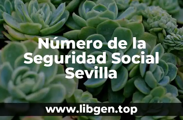 ¿Qué es el Número de la Seguridad Social?