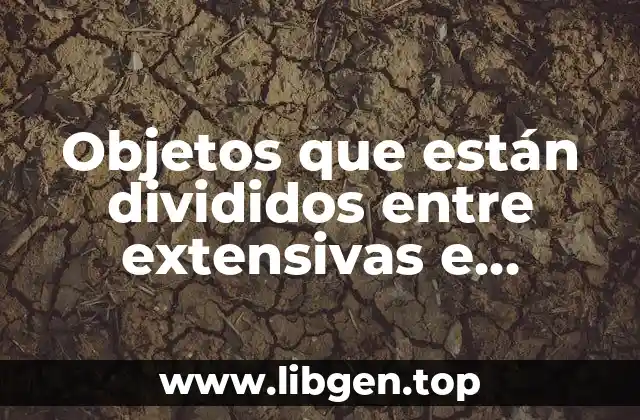 Objetos que están divididos entre extensivas e intensivas