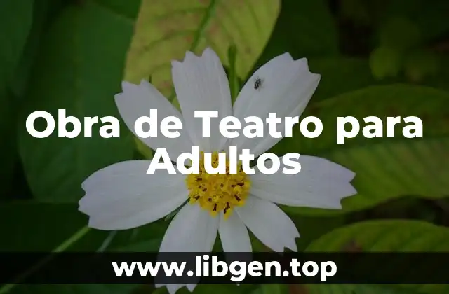 Obra de Teatro para Adultos