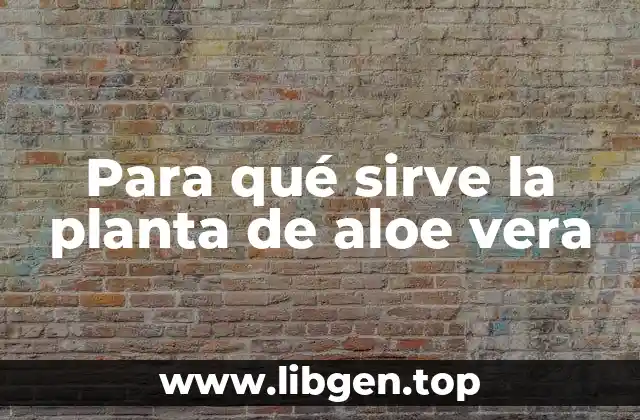 Para qué sirve la planta de aloe vera
