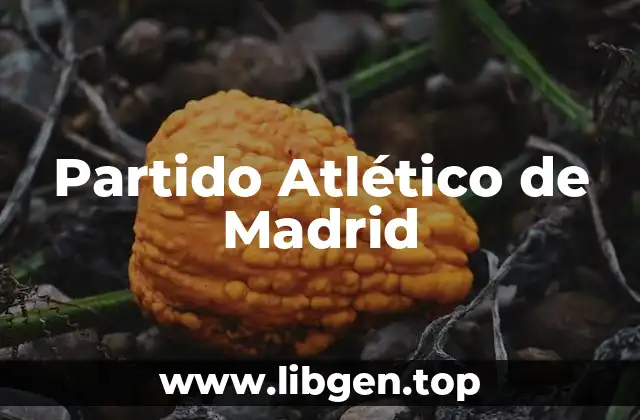 Partido Atlético de Madrid
