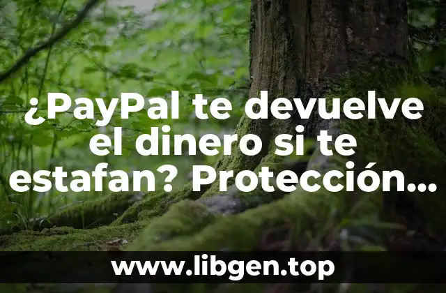 ¿PayPal te devuelve el dinero si te estafan? Protección al comprador y garantía de satisfacción