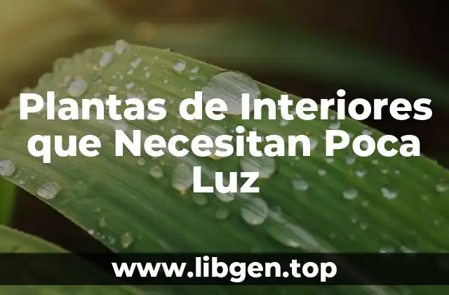 Plantas de Interiores que Necesitan Poca Luz