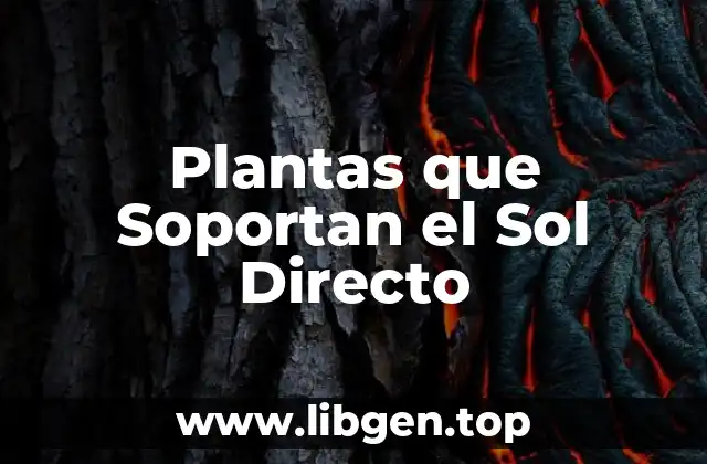 Características de las Plantas que Soportan el Sol Directo