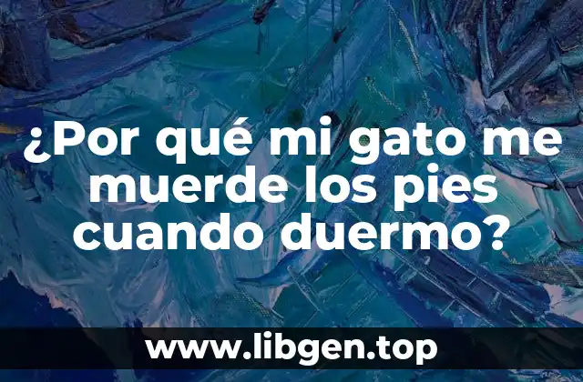 ¿Por qué mi gato me muerde los pies cuando duermo?