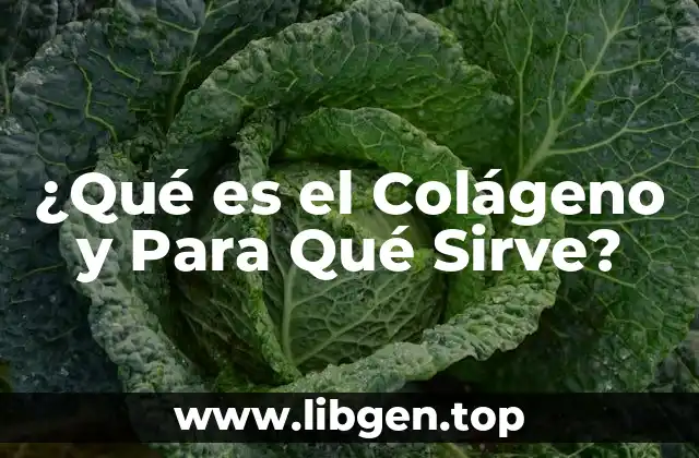 ¿Qué es el Colágeno y Para Qué Sirve?