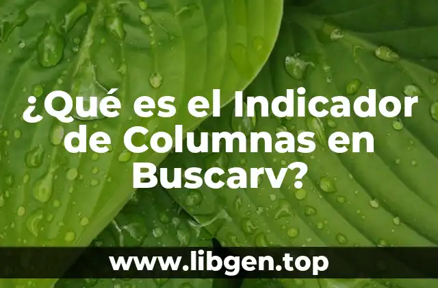 ¿Qué es el Indicador de Columnas en Buscarv?