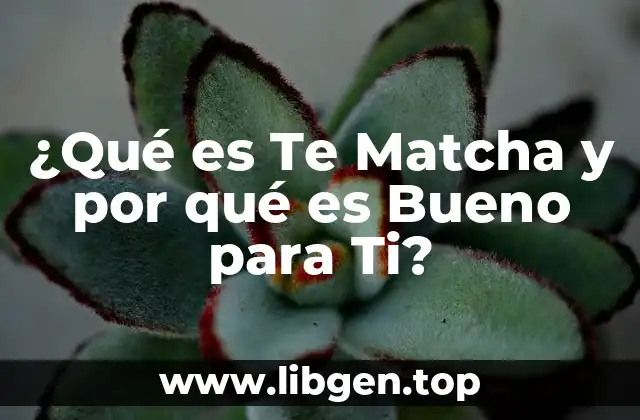 ¿Qué es Te Matcha y por qué es Bueno para Ti?