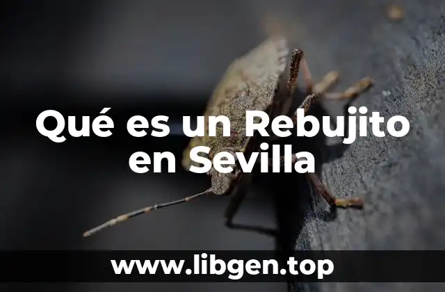 Qué es un Rebujito en Sevilla