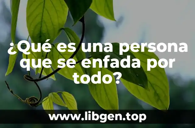 ¿Qué es una persona que se enfada por todo?
