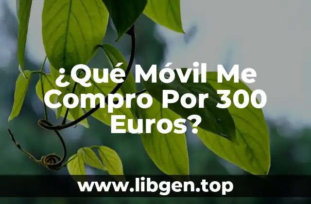 ¿Qué Móvil Me Compro Por 300 Euros?