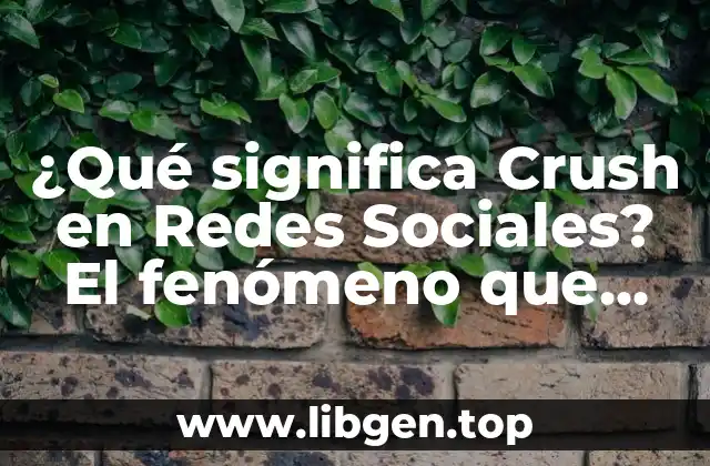 ¿Qué significa Crush en Redes Sociales? El fenómeno que revoluciona las plataformas de internet