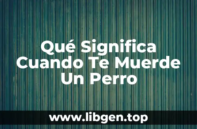 Qué Significa Cuando Te Muerde Un Perro
