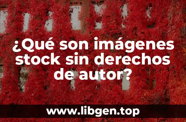 ¿Qué son imágenes stock sin derechos de autor?
