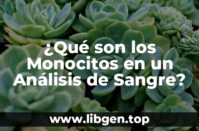 ¿Qué son los Monocitos en un Análisis de Sangre?