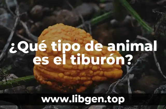 ¿Qué tipo de animal es el tiburón?