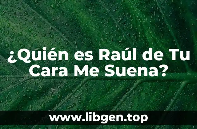 ¿Quién es Raúl de Tu Cara Me Suena?