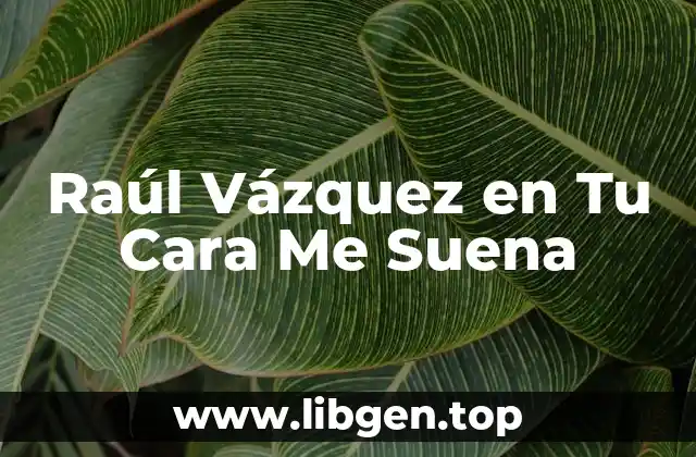 Raúl Vázquez en Tu Cara Me Suena