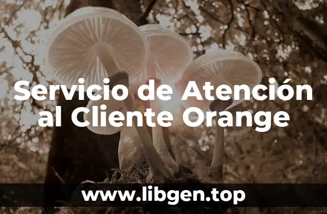 Servicio de Atención al Cliente Orange