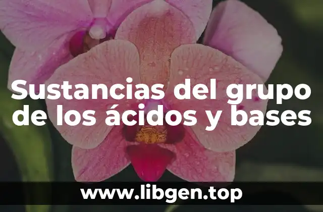 Sustancias del grupo de los ácidos y bases