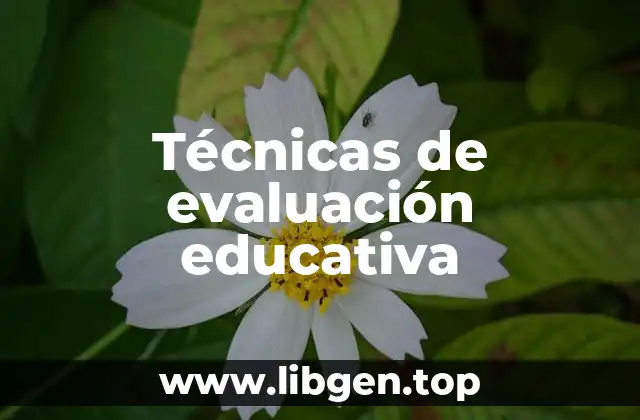 Técnicas de evaluación educativa