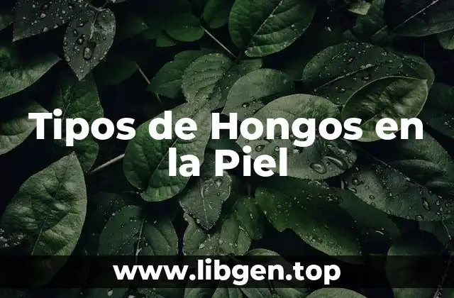Tipos de Hongos en la Piel