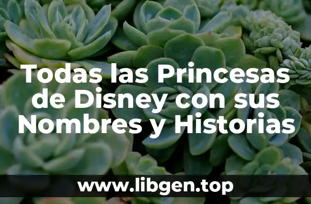 Todas las Princesas de Disney con sus Nombres y Historias