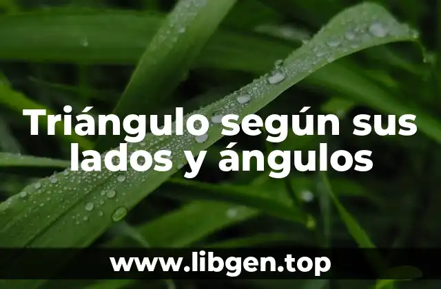 Triángulo según sus lados y ángulos