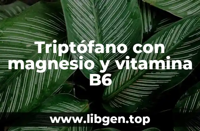 Triptófano con magnesio y vitamina B6