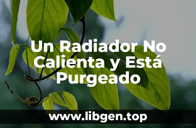 Un Radiador No Calienta y Está Purgeado