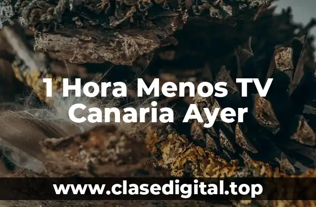 1 Hora Menos TV Canaria Ayer